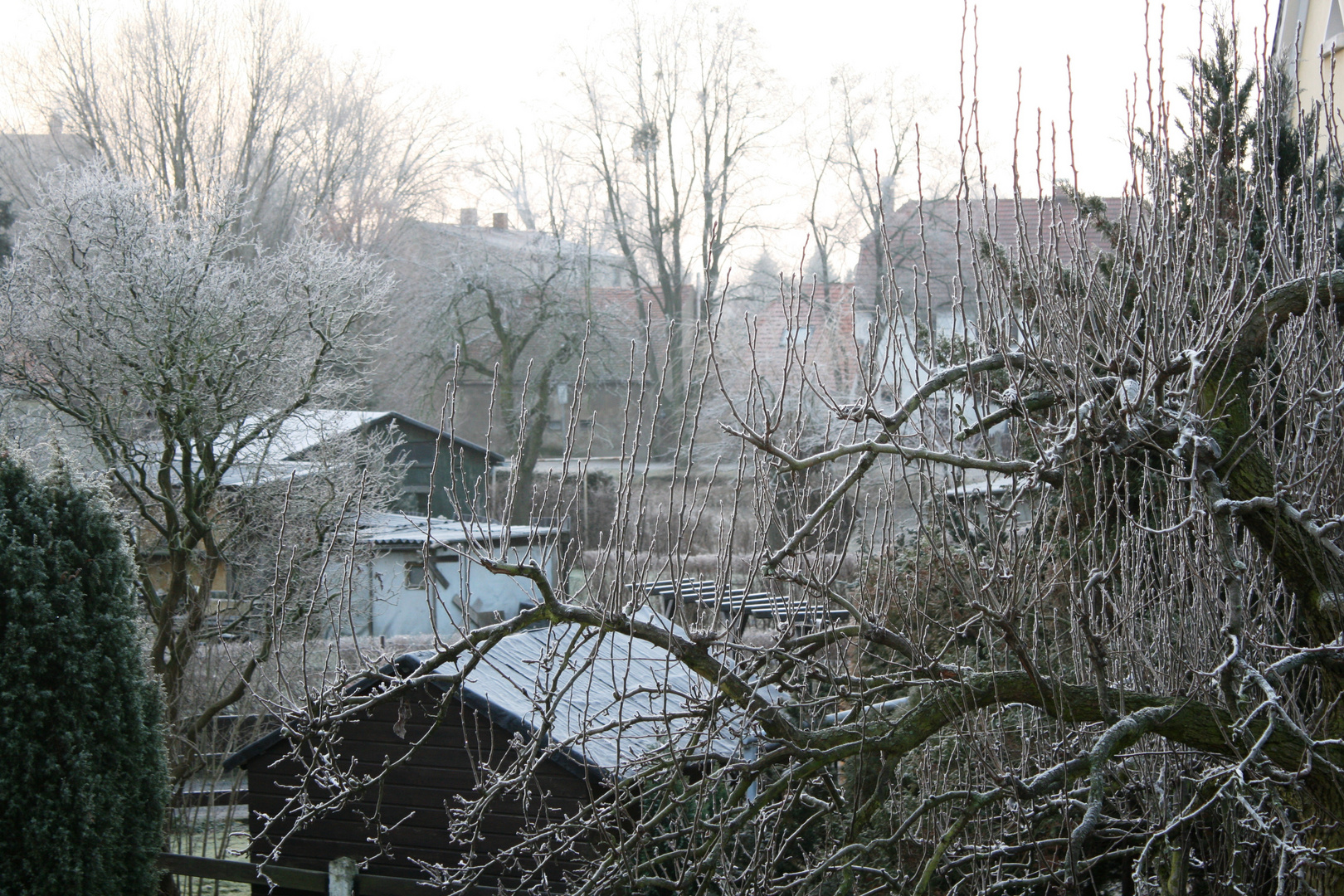 Heute Morgen bei uns zu Hause