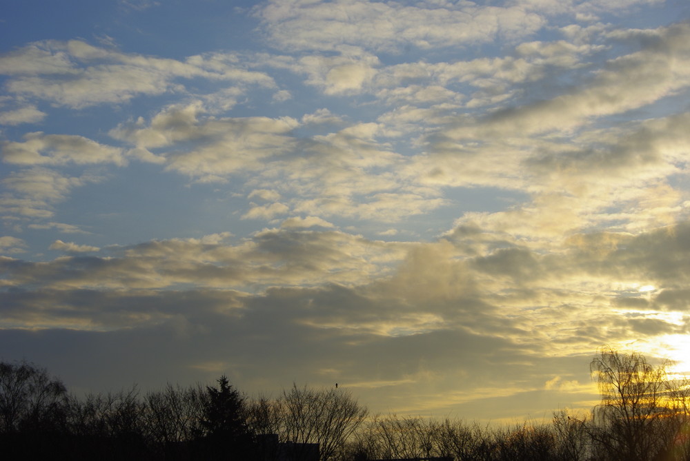 Heute Morgen beim Blick aus dem Fenster