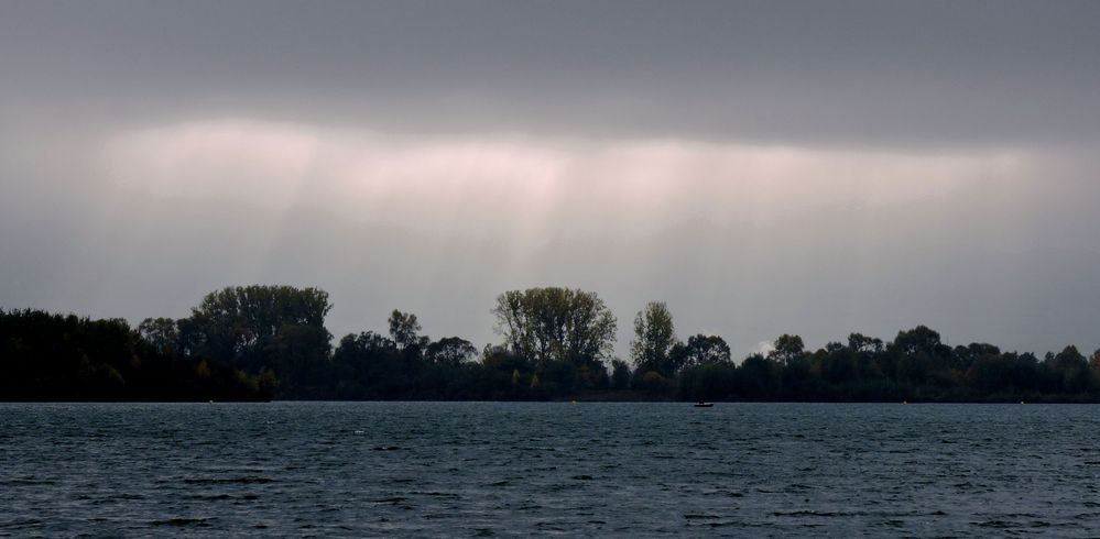 Heute morgen beim Hundespaziergang am See.