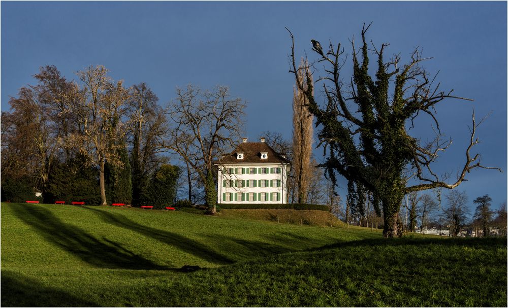 Heute Morgen beim Richard Wagner Museum