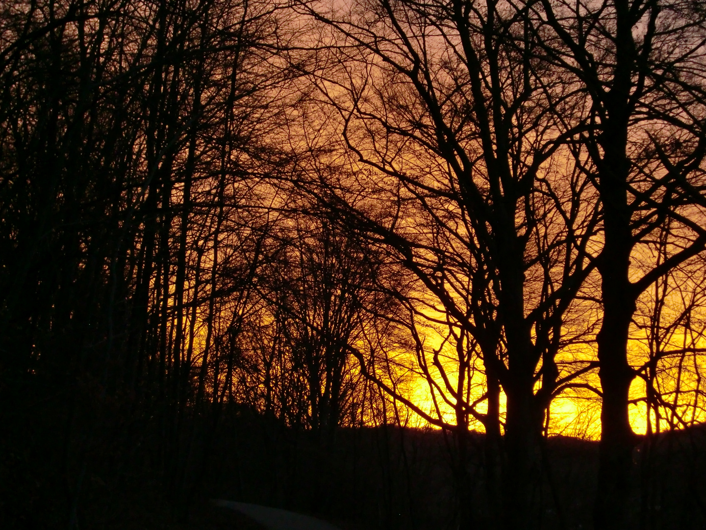 Heute Morgen beim Spaziergang