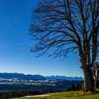 Heute morgen: Blick vom Hohen Peißenberg auf die Alpenkette