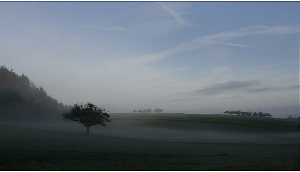 heute morgen...