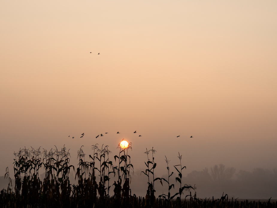 heute morgen