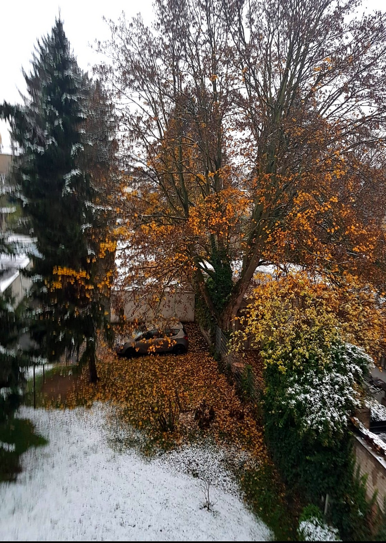 Heute Morgen: Das erste bisschen Schnee!