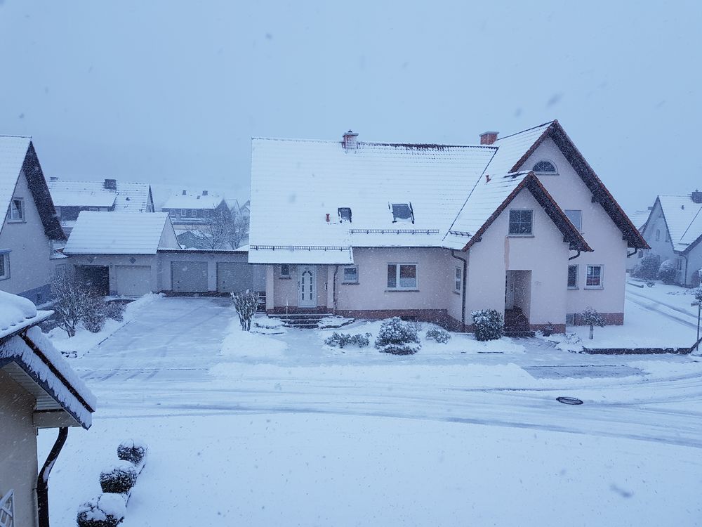 heute Morgen der Blick aus dem Fenster...