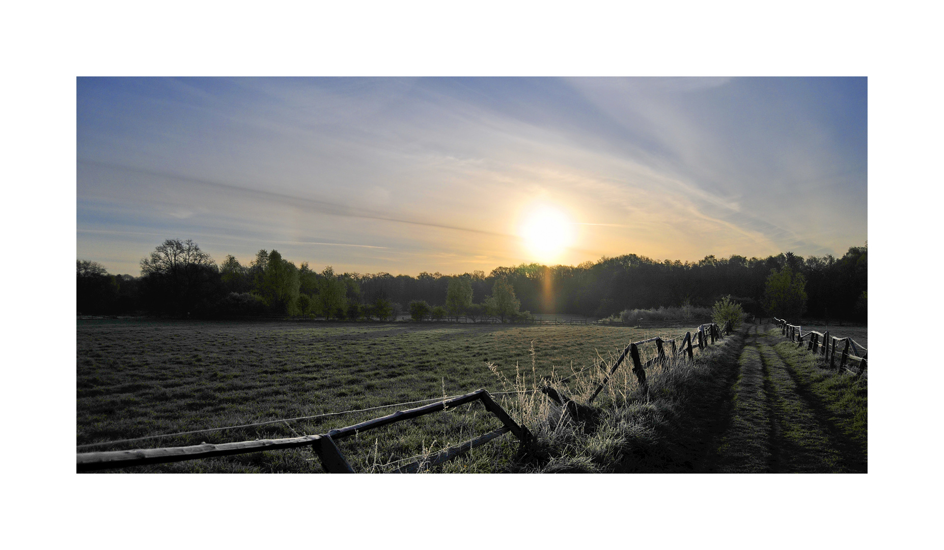 heute morgen, der frost ......