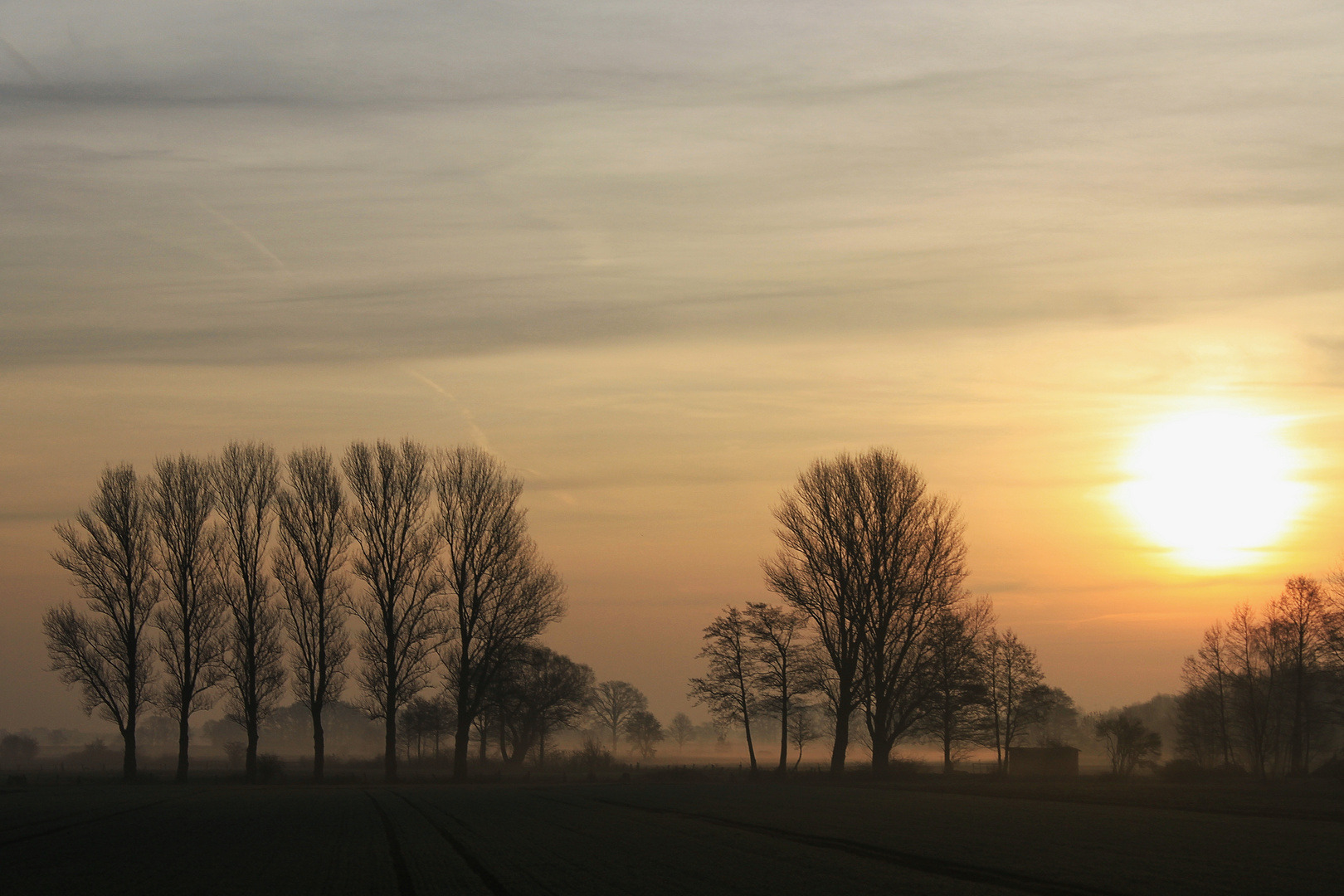 Heute Morgen ......