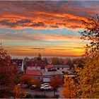 Heute Morgen: Ein Sinnbild für den "Goldenen Herbst"... 