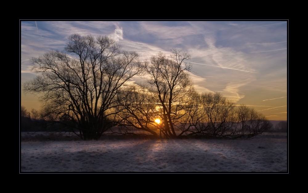 Heute Morgen