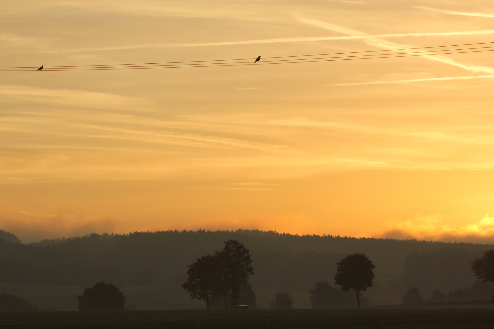 ...heute morgen