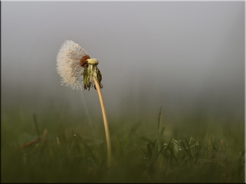 heute Morgen