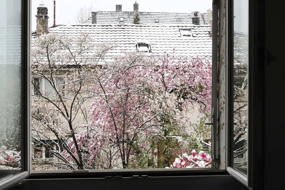 Heute Fenster auf, Augen auf&hellip;und&hellip;das erste