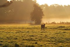 Heute morgen ganz früh