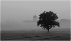 Heute morgen im Feld