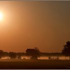 Heute Morgen im Moor (2)