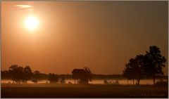 Heute Morgen im Moor (2)