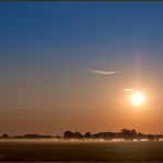 Heute Morgen im Moor (3)