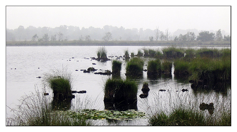 Heute Morgen im Moor