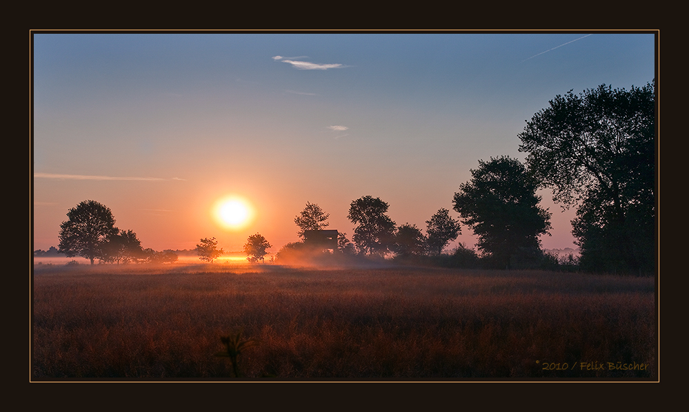 Heute Morgen im Moor