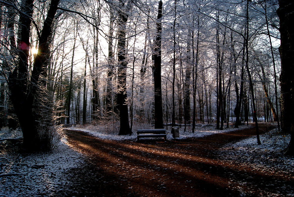 heute morgen im nahegelegenen Park von Faber Castell, Stein, Mfr.