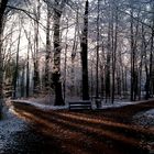 heute morgen im nahegelegenen Park von Faber Castell, Stein, Mfr.