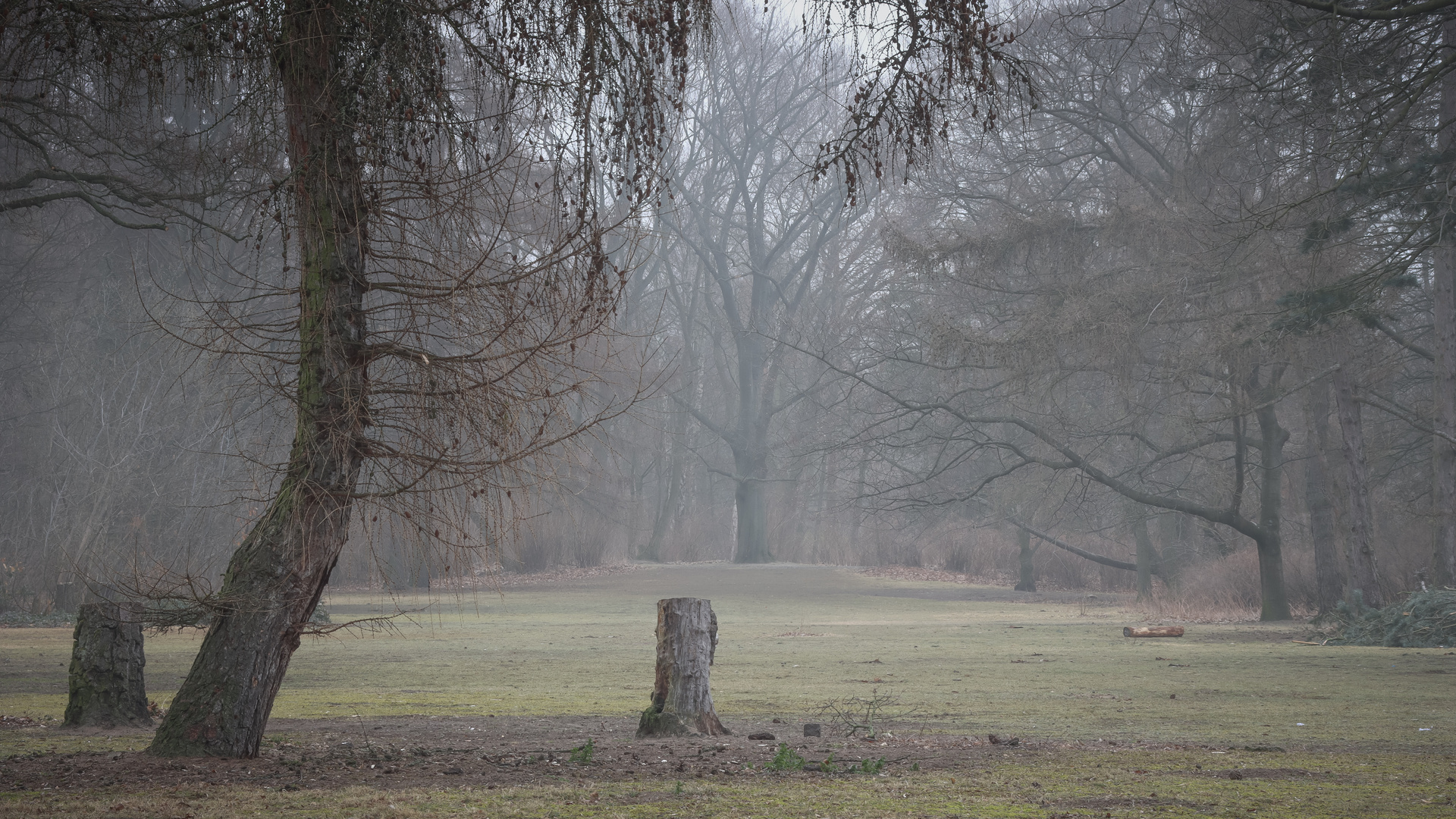 Heute Morgen im Park