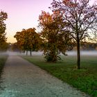 Heute Morgen im Park