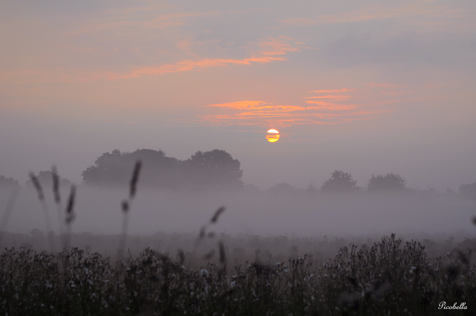 Heute Morgen im schönsten Bundesland ......