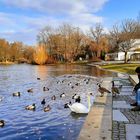 heute morgen im Stadtpark