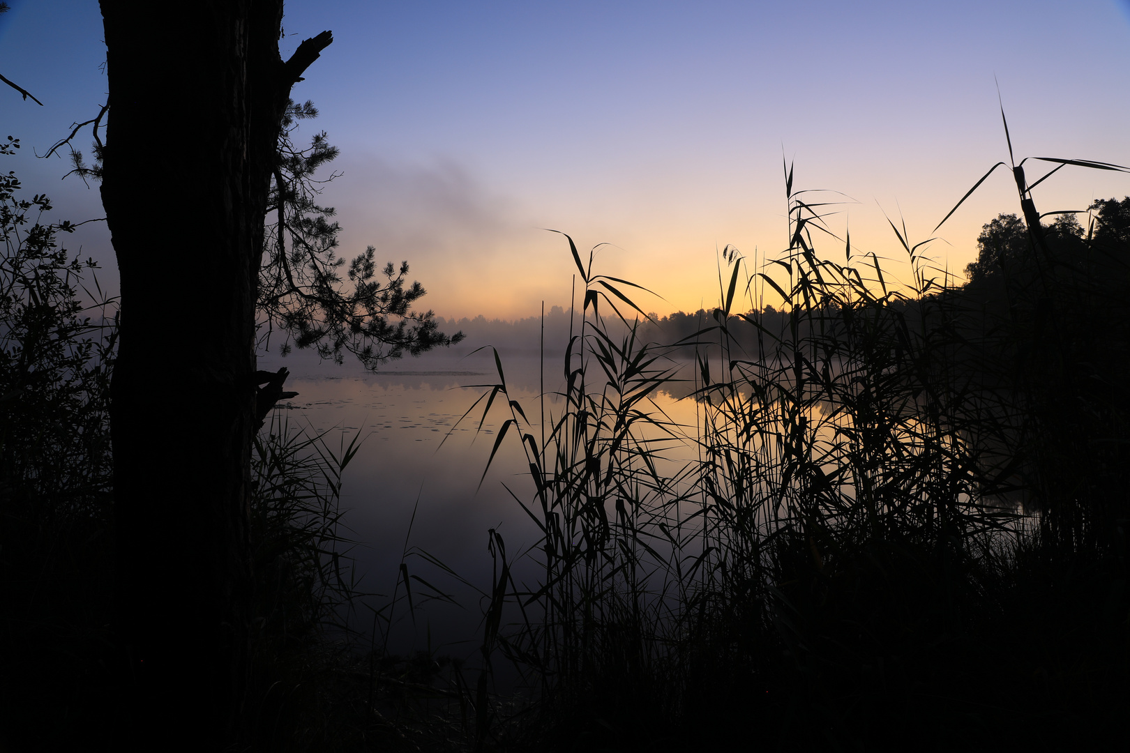 Heute Morgen im Wurzacher Ried