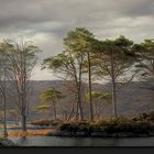 Heute morgen in den Highlands... - Scotland