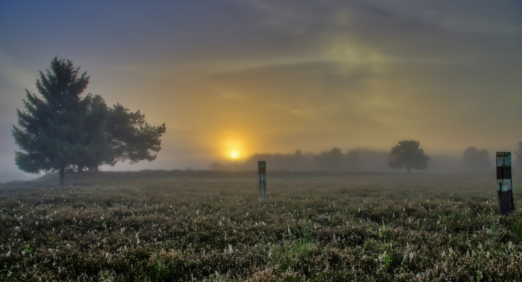 "Heute Morgen in der Mehlinger Heide"