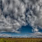 heute morgen in der "Musser Heide"