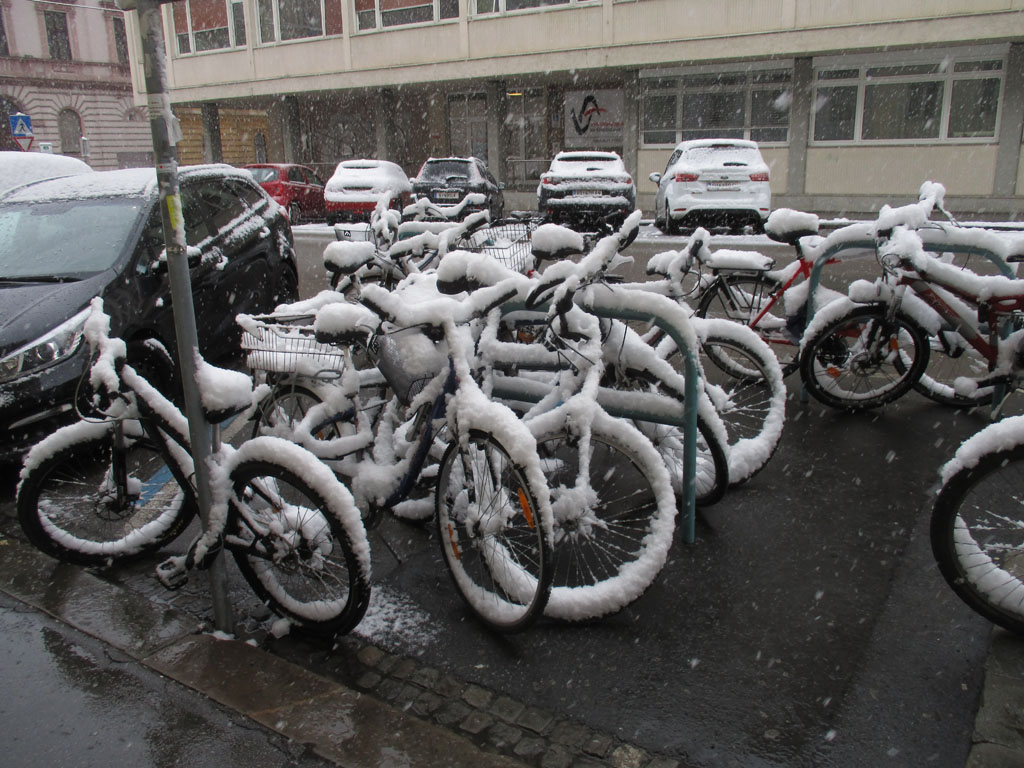  heute Morgen in der Stadt