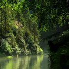 Heute Morgen in der Wilden Klamm im böhmischen Teil des Elbsandsteingebirges