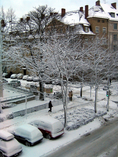 heute Morgen in Haidhausen