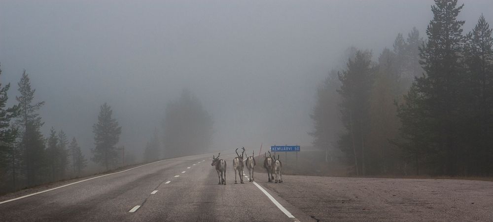 heute Morgen in Lappland