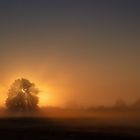 Heute Morgen in "meinem" Moor.