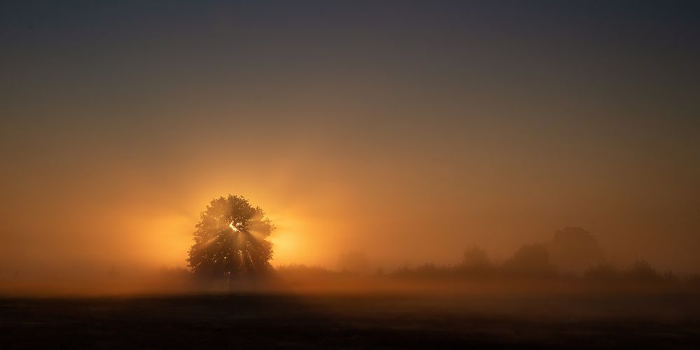 Heute Morgen in "meinem" Moor.