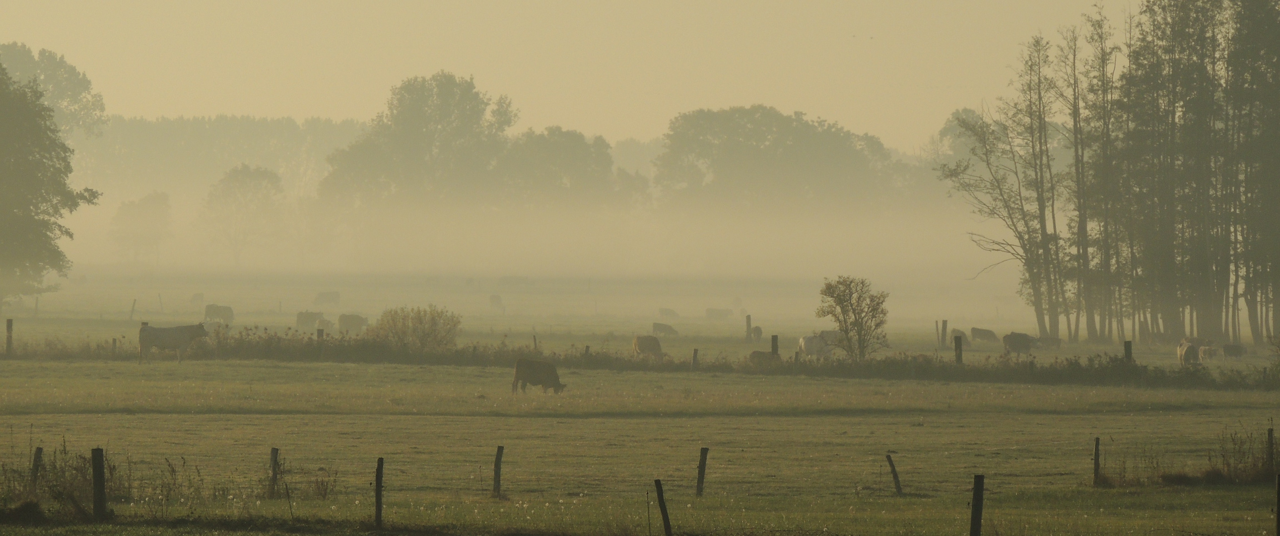 Heute Morgen in OPR