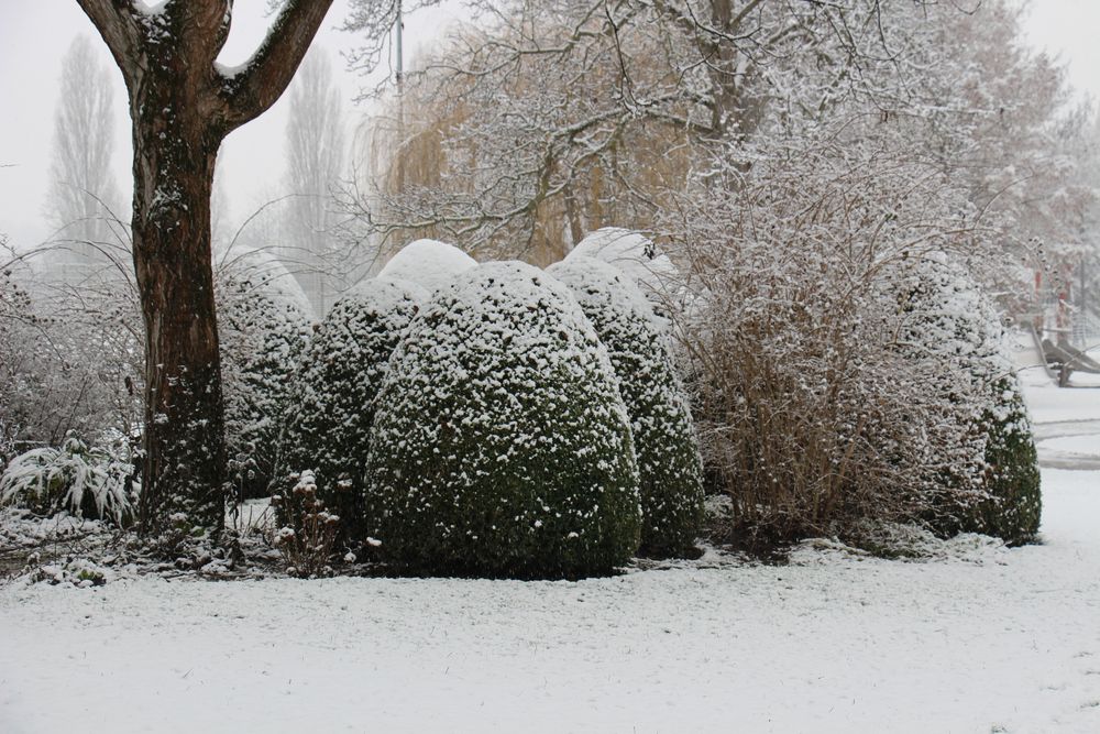 Heute morgen in Park