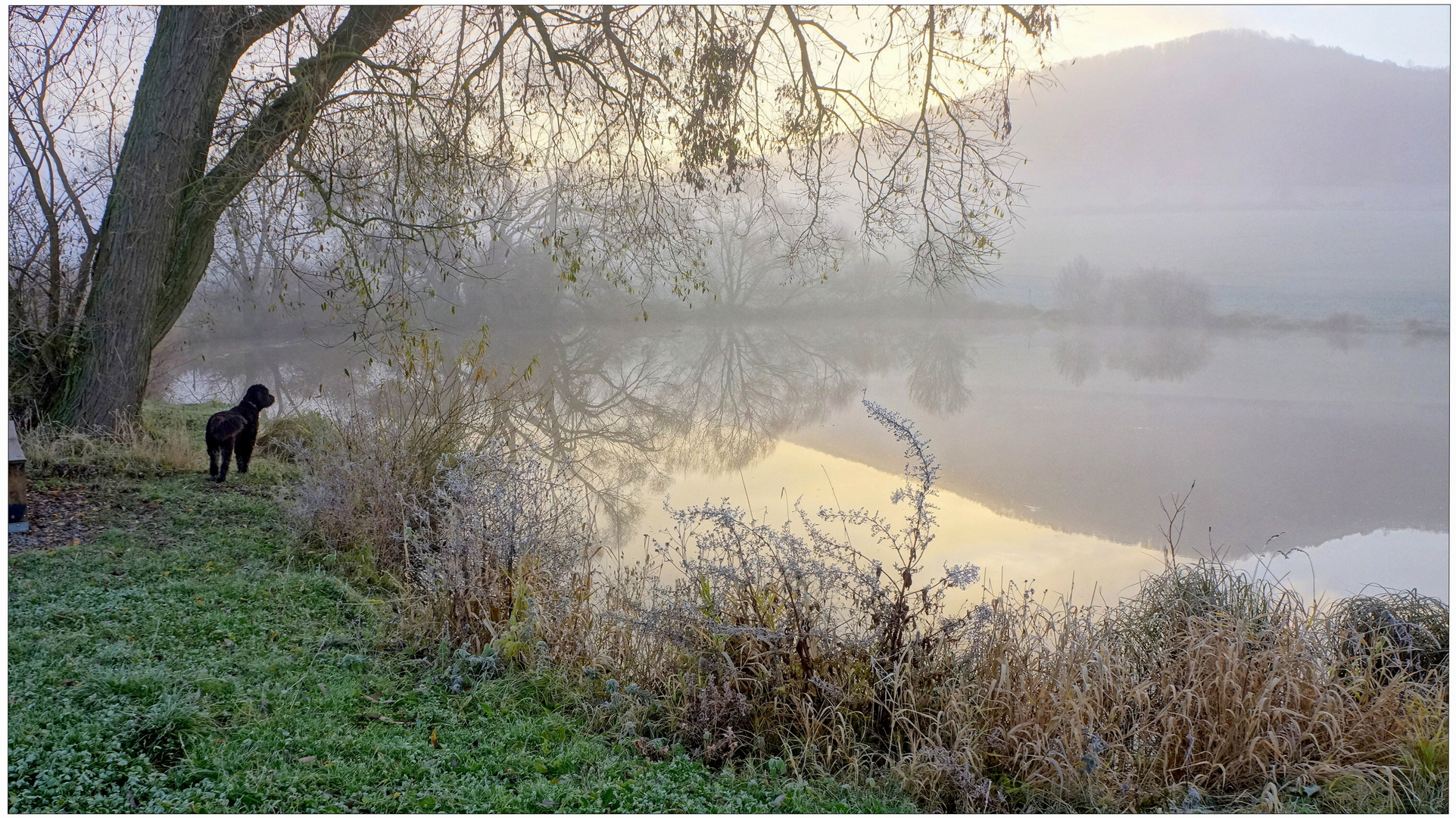 Heute Morgen mit Wicky-Emily am See (esta mañana con Wicky-Emily en el lago)