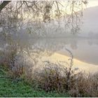 Heute Morgen mit Wicky-Emily am See (esta mañana con Wicky-Emily en el lago)