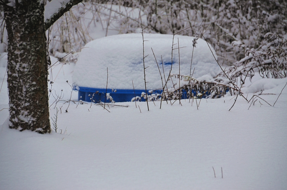 Heute morgen - Neuschnee