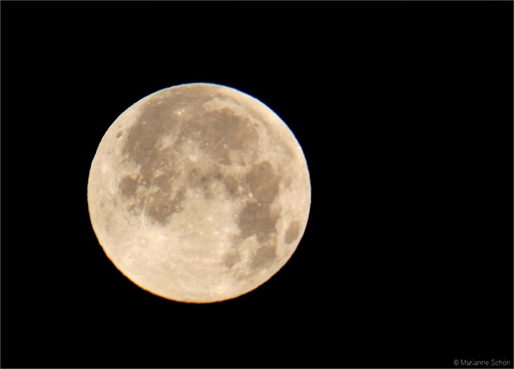 Heute morgen strahlte mich der Vollmond an...