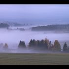 heute morgen um 8 Uhr...