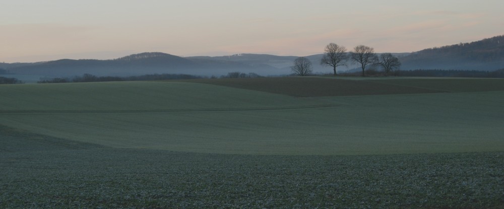 heute Morgen um 8:00 Uhr...