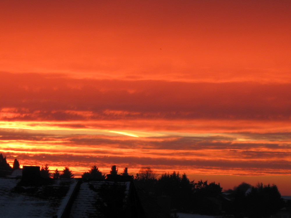 Heute Morgen vor der Schule