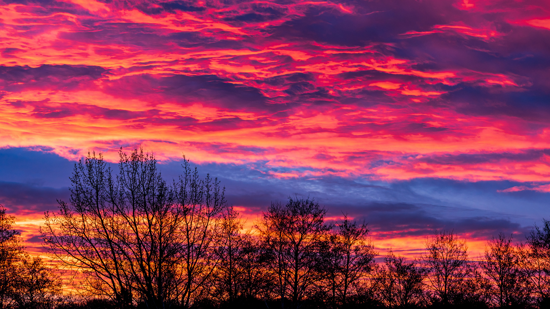 Heute morgen war ein Sonntagsmaler unterwegs...